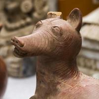 Collection of archaeological finds
