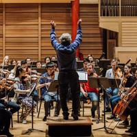 Orchestral Rehearsal