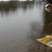 Meltwater. Submission by Will Neuhaus