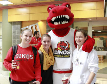 Your one-stop undergrad shop