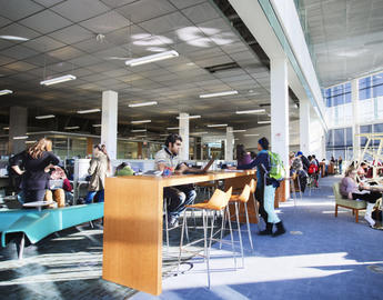 Your graduate studies guide