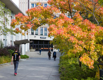 Fall foliage in front of the sciences complex