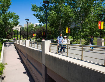 A pathway on the east end of campus