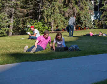 UCalgary students studying