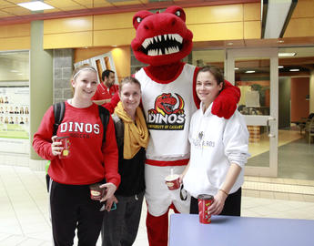 Your one-stop undergrad shop