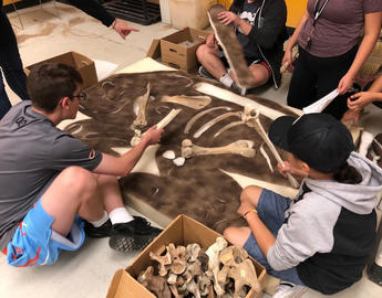 Students with bison bones