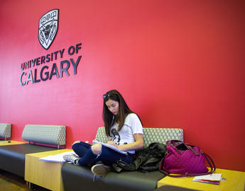 Student studying