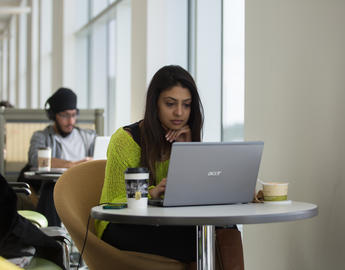 Students study in the library