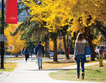 Students walking around on campus