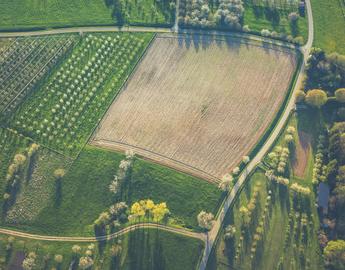 Farmland